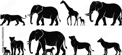 African animal silhouette collection, safari wildlife family with babies, elephant giraffe lion wolf poses, black vector illustration isolated design