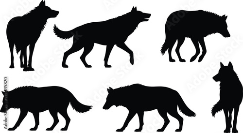 Wolf silhouette collection, wild canine poses set, forest predator animal vector illustration, black minimalist design isolated icon graphic art pack
