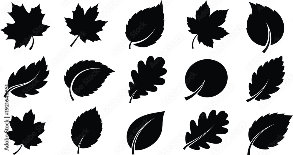 Fototapeta premium Collection of various black leaf silhouettes