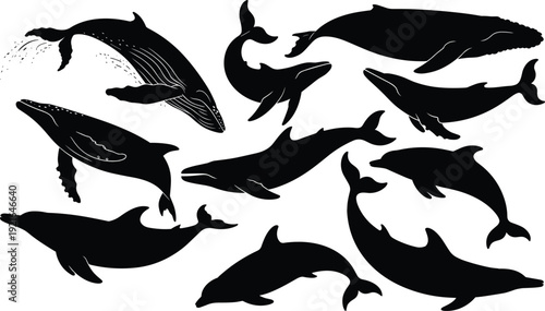 Whale silhouette collection, ocean marine mammal poses set, dolphin humpback orca wildlife vector illustration, black minimalist design isolated icons pack