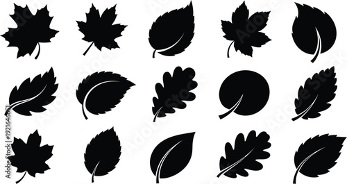 Collection of various black leaf silhouettes