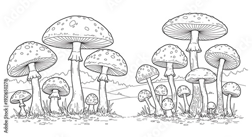 Whispers of the Fungus Grove