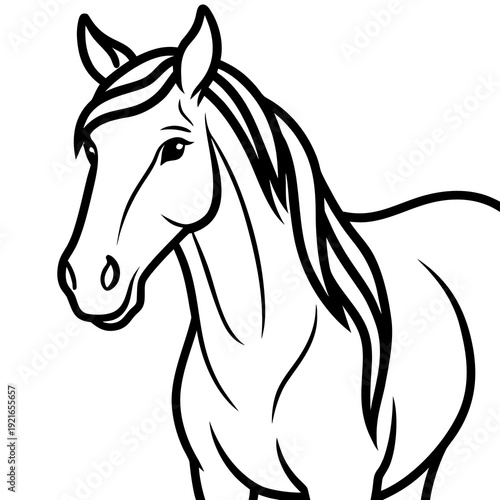 black horse vector illustration