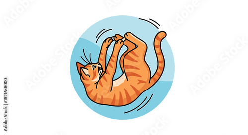 Playful orange tabby cat rolling on back in blue circle