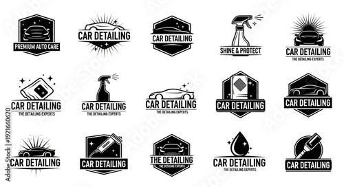 Car Detailing Service Logo Collection Vector Art.