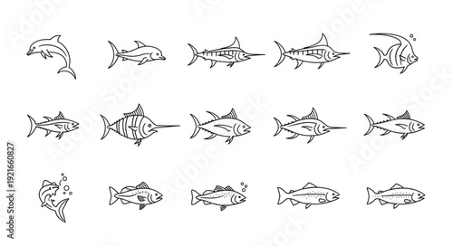Collection of Hand Drawn Fish Illustrations in Black and White.