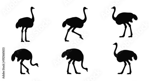 Silhouettes of ostriches in various poses and arrangements
