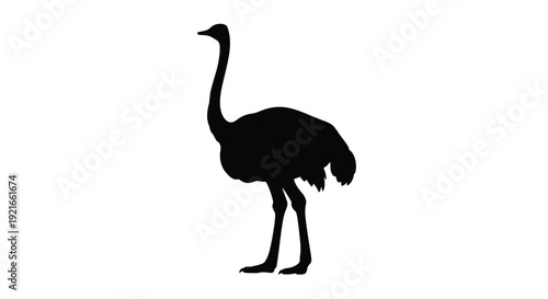 Silhouette of an ostrich standing in profile against a white background