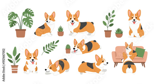 A charming collection of corgi dogs in various poses with potted plants and furniture a delightful silhouette high quality professional detailed