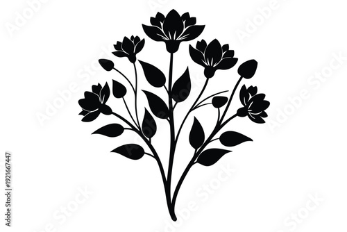 statice silhouette line art vector illustration