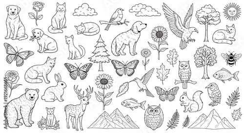 Animals And Wildlife Illustration Collection.
