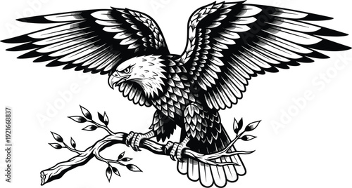 Black and white eagle with spread wings perched on a branch with leaves bird raptor