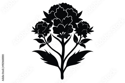 statice silhouette line art vector illustration