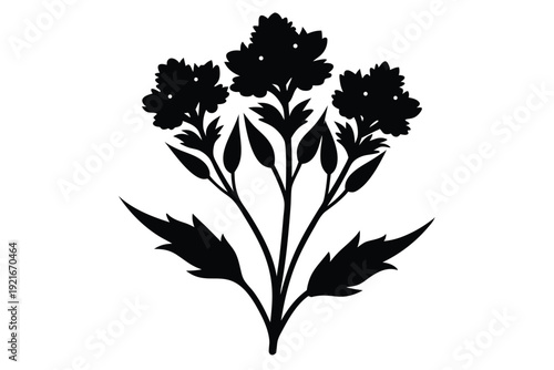 statice silhouette line art vector illustration