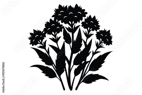 statice silhouette line art vector illustration