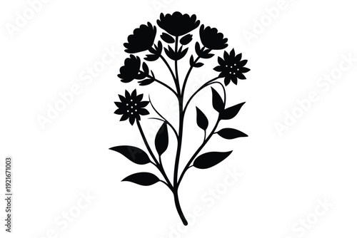 statice silhouette line art vector illustration