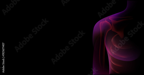 Body xray man human anatomy 3d medical health vector technology scan person digital background muscle abstract science illustration. X-ray style silhouettes with visible skeletons, detailed 