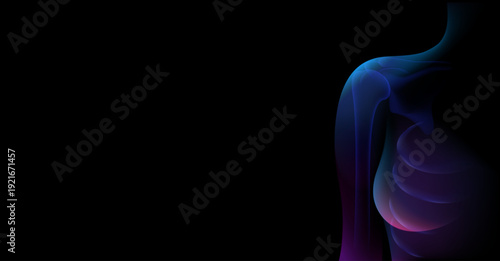 Body xray woman human anatomy 3d medical health vector technology scan person digital background muscle abstract science illustration. X-ray style silhouettes with visible skeletons, detailed 