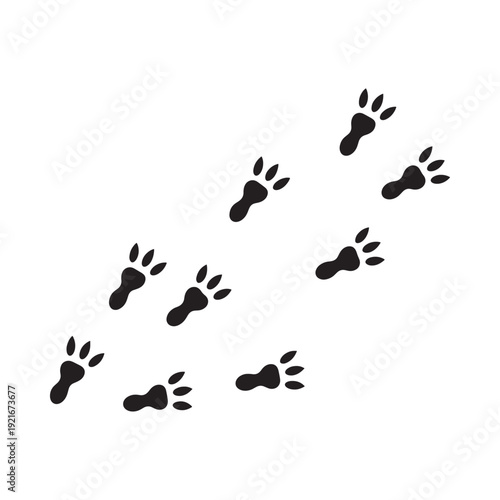 Black paw prints trail across a white background indicating animal movement