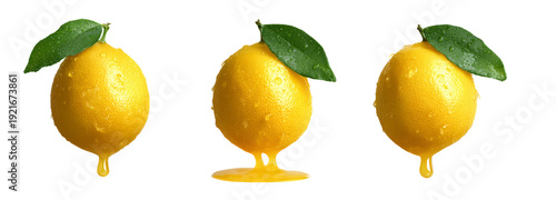 Wallpaper Mural Fresh lemons with transparent background for creative food design studio shot Torontodigital.ca