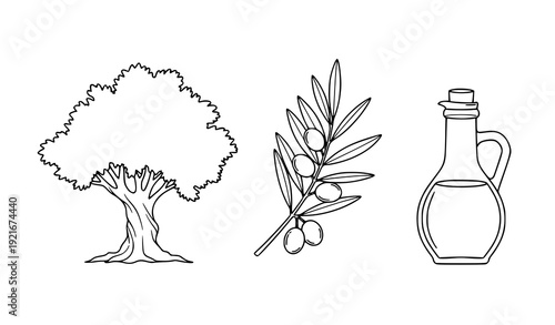 Minimal olive tree branch and olive oil line art botanical vector illustration