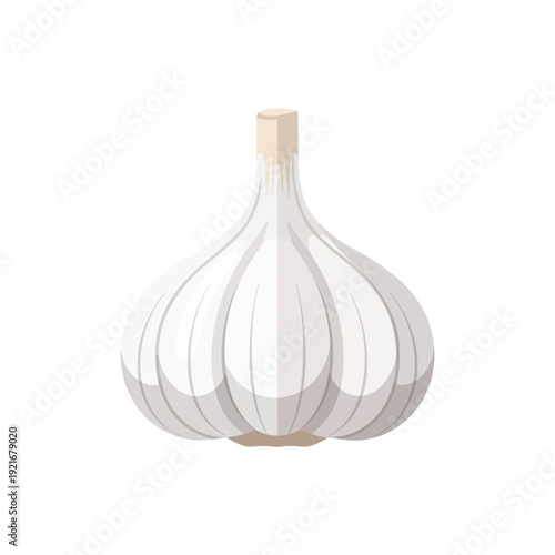 Illustration of a single whole garlic bulb on white background.