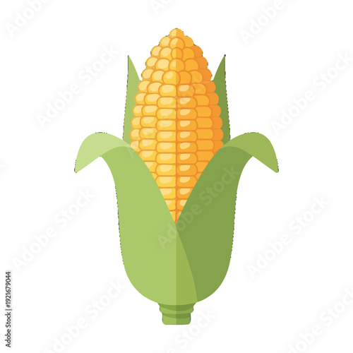 Illustration of a fresh corn ear with green husk and yellow kernels.