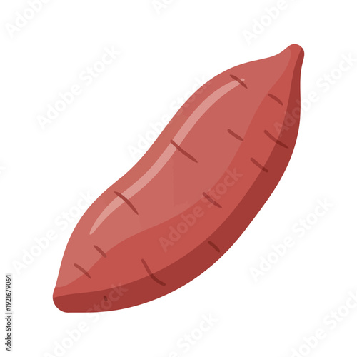 Illustration of a single whole sweet potato.
