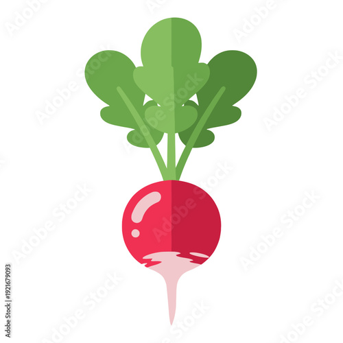 Flat vector illustration of a fresh radish with leafy green tops.