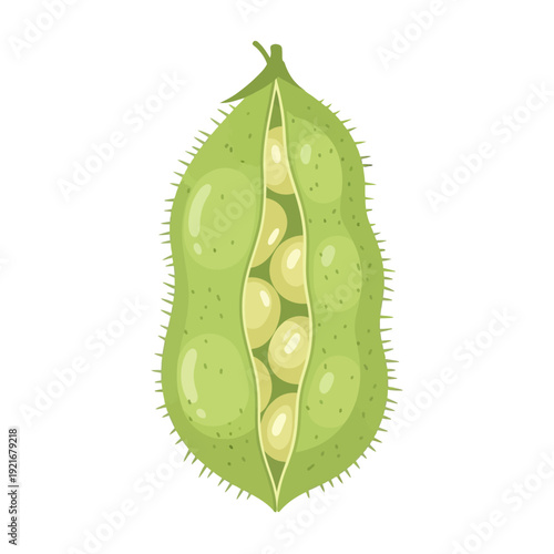 Close-up illustration of a fresh green edamame pod with visible soybeans.