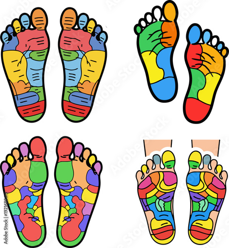 Colorful illustration of human foot reflexology zones from various viewpoints on a plain background