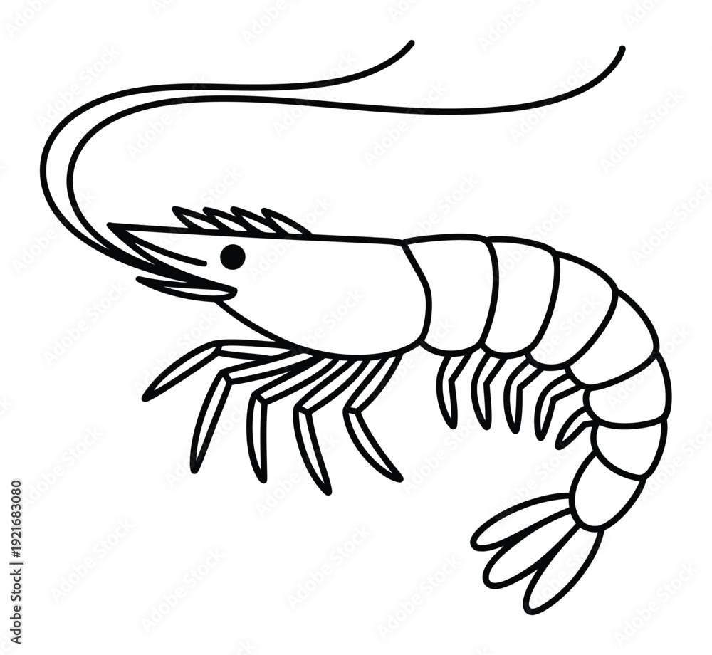 Obraz premium Shrimp Simple Line Art Vector Illustration