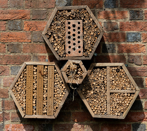 Bug Hotel