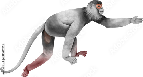 Photography Watercolor Climbing Monkey. Douc langur