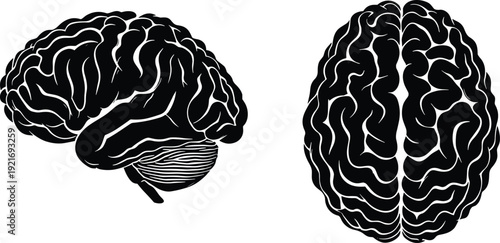 Black vector silhouette of the human brain from side and top views for medical science neurology healthcare education and psychology mental health branding