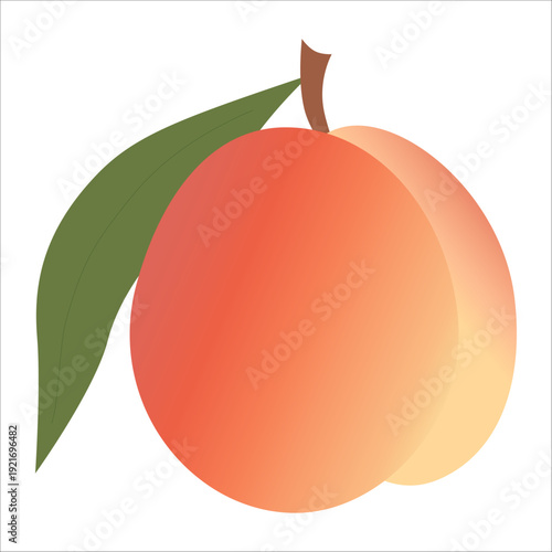 Whole peach fruit with green leaf in flat vector style. Fresh summer fruit illustration for food packaging, labels, menu design and healthy lifestyle branding.
