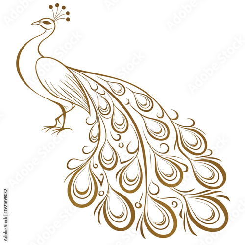 Peacock object illustration vector of a nice bird