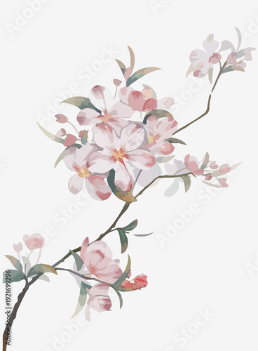 branch of cherry blossom