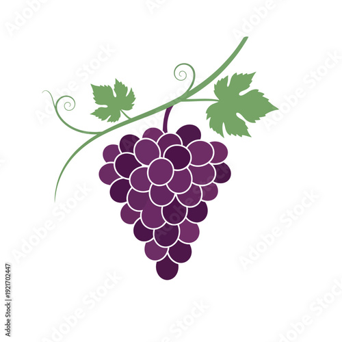 Grape bunch with leaves on a vine.