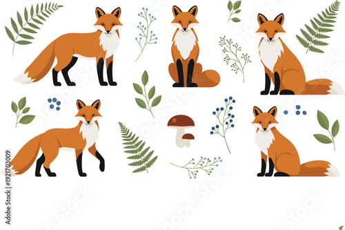 Cute Fox Poses Vector Illustration Set with Forest Leaves Berries Mushrooms Woodland Animal Characters Flat Design