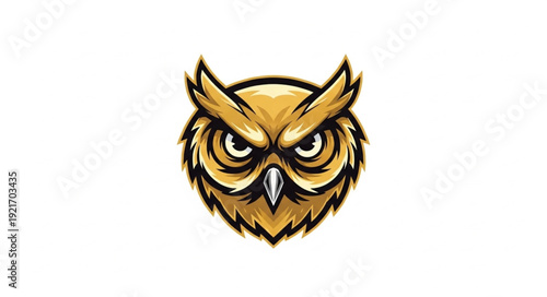 Close up of an owl face with sharp eyes and detailed feathers.