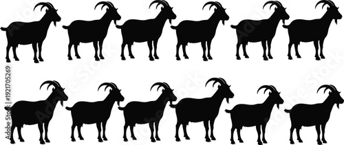 Goat silhouette, animal, livestock, farm, nature, mammal, horns, wildlife, vector, illustration, abstract, design, rural, agriculture, ecology,