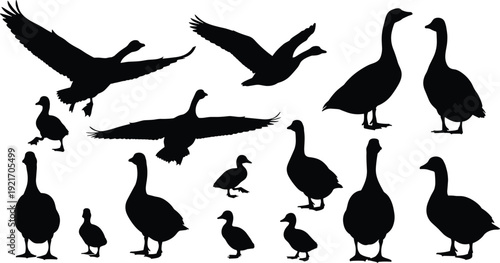 Goose silhouette illustration, flying geese, standing geese, walking geese, bird figures, wildlife art, avian design, black silhouettes, nature outline, white background