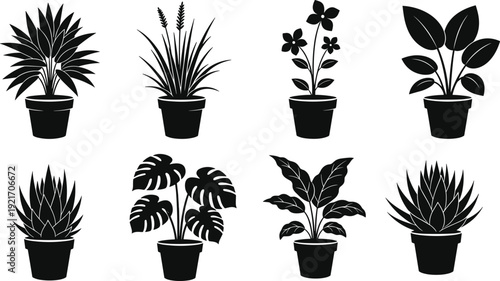 Black potted houseplant silhouette collection featuring monstera palm cactus and leafy indoor plants for home garden interior decoration vector design assets set bundle.