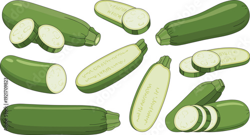 Zucchini vegetable collection, whole and sliced courgette illustrations, fresh organic squash design, healthy food icons, culinary artwork