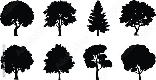 Black tree silhouettes vector set, deciduous and conifer shapes, forest icons, tree clipart, landscape design elements, logo-ready, stencil art, backgrounds, printable, web, branding