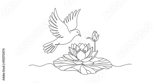 Dove flying over lotus flower on water, line art illustration