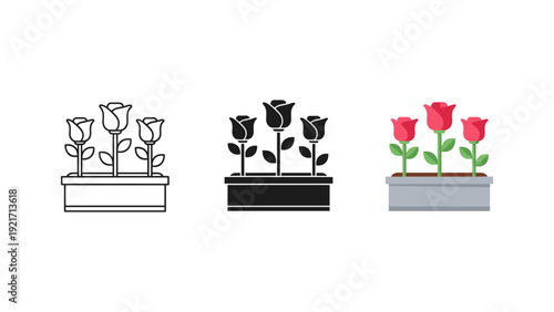 Elegant minimalist illustration of three potted roses in black and white and vibrant color, perfect for home decor, gardening, and creative design projects.