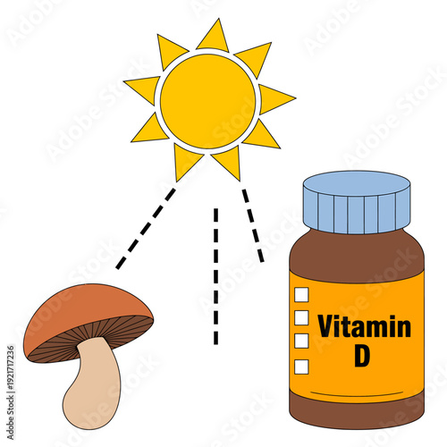 Vitamin D supplements from mushrooms and sun exposure concept