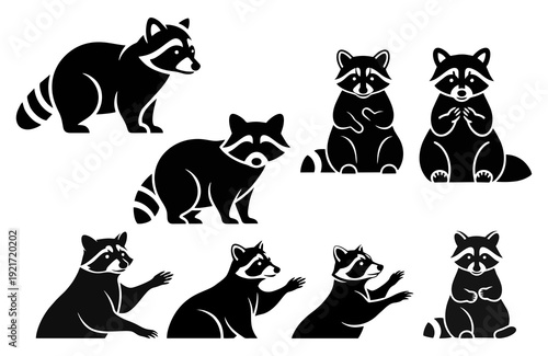 Cute Raccoon Silhouettes Collection - Various Poses